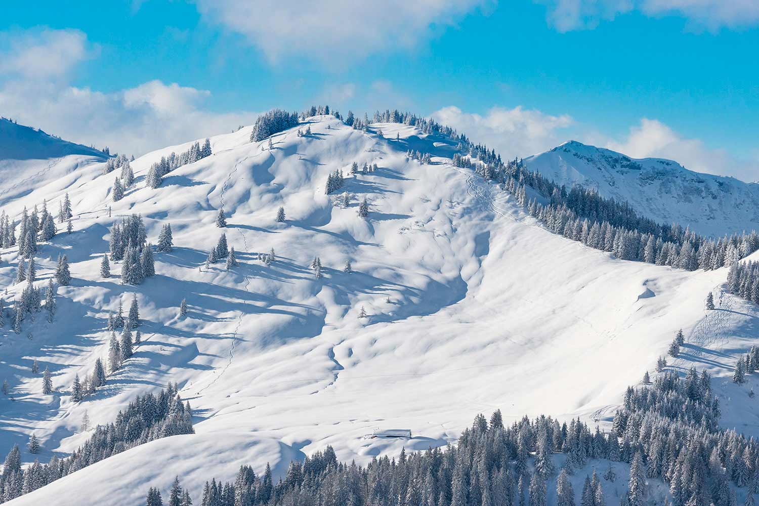 SAALBACH Skitourengruppe Neutral shutterstock_342604946.jpg