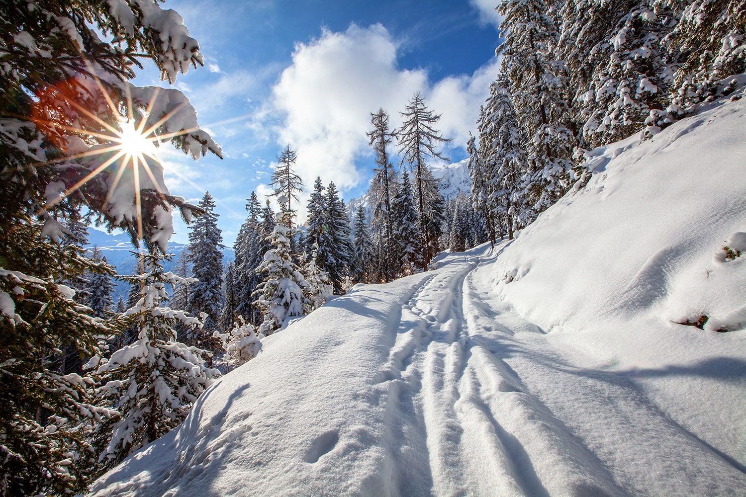 winterwandern.jpg