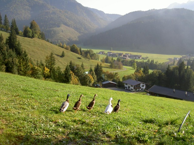 Ferienhof Obertenn