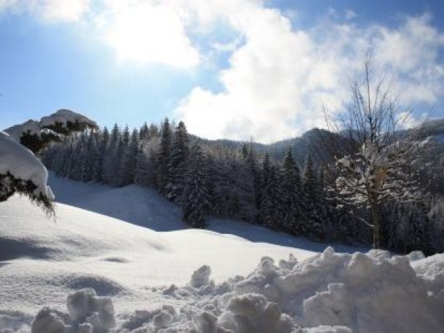 FEWO Bergblick (6-10 Personen)