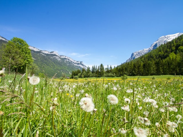 Bauernhof Bergerhäusl