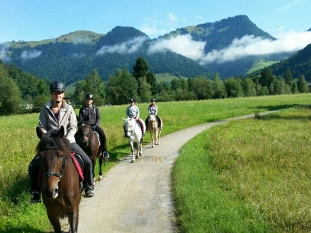 Reitanlage Dagnhof 