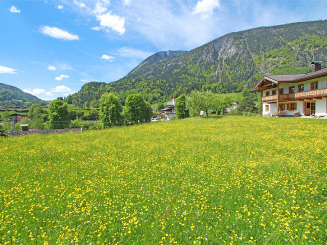 Fellnerbauer