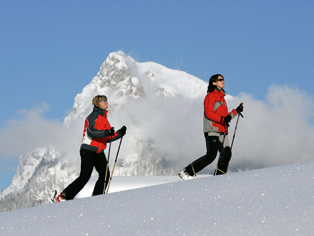 Fellneralm