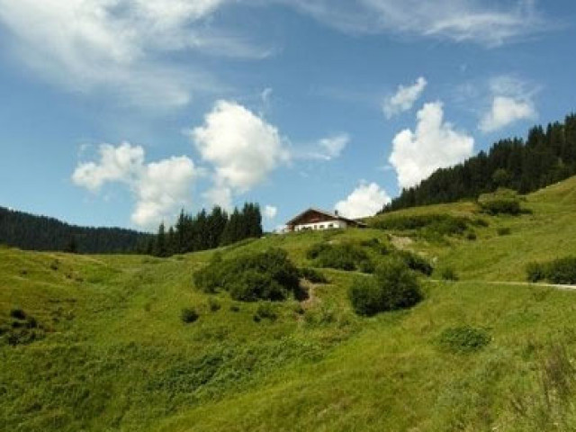 Adamalm
