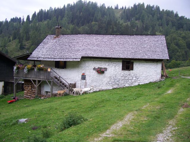 Lettengut