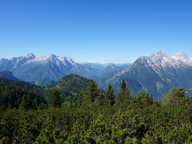 Glatzlbauer