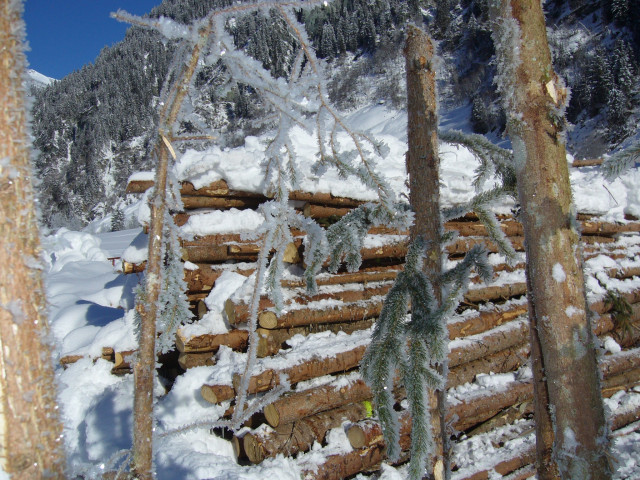 Ferienhaus Aschauhütte im Großarltal