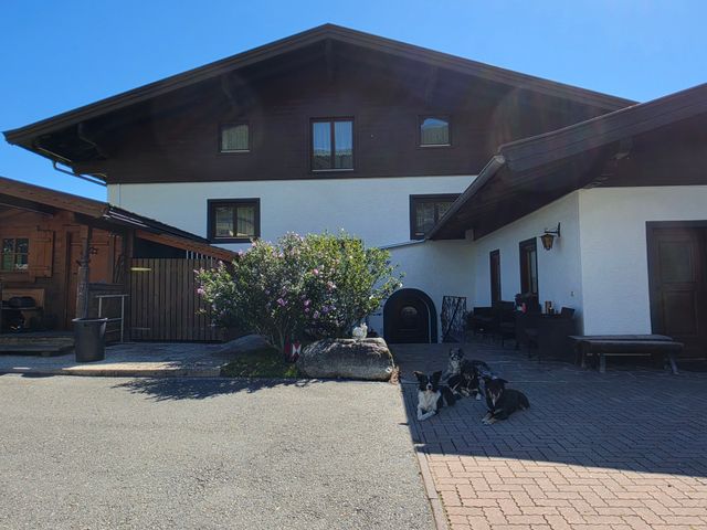 Ski&Paw Lodge in Piesendorf