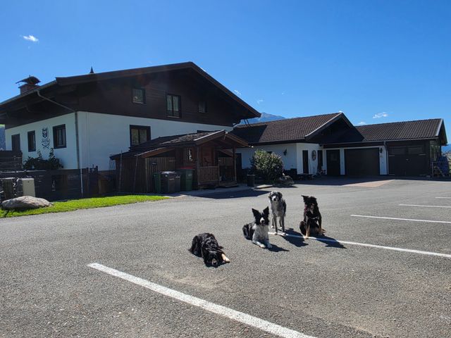 Ski&Paw Lodge in Piesendorf