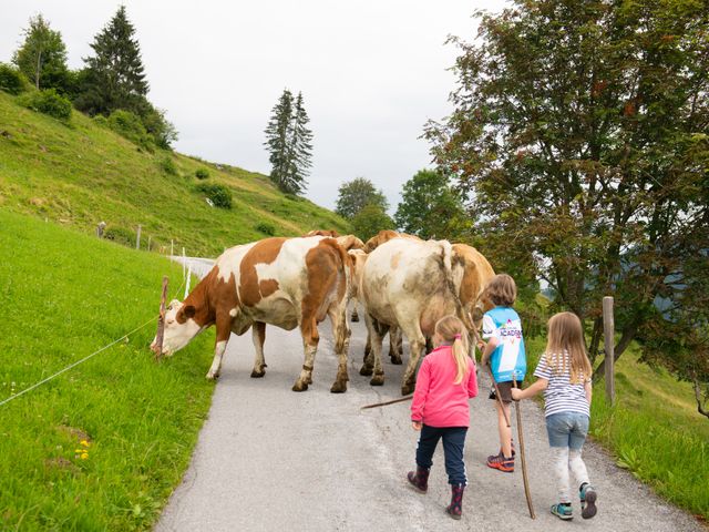 Unterviehhausbauer