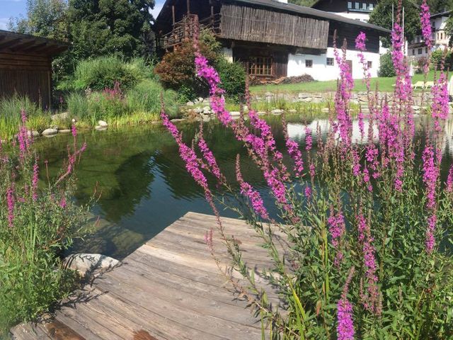Hotel Kammerlander