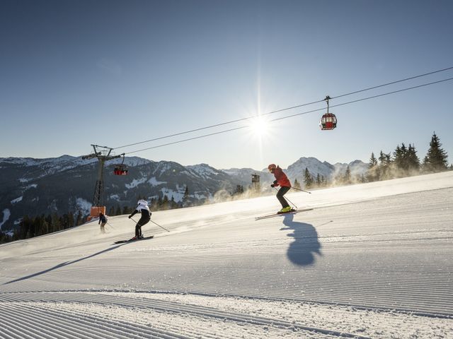 Ferienwohnungen Goldanger